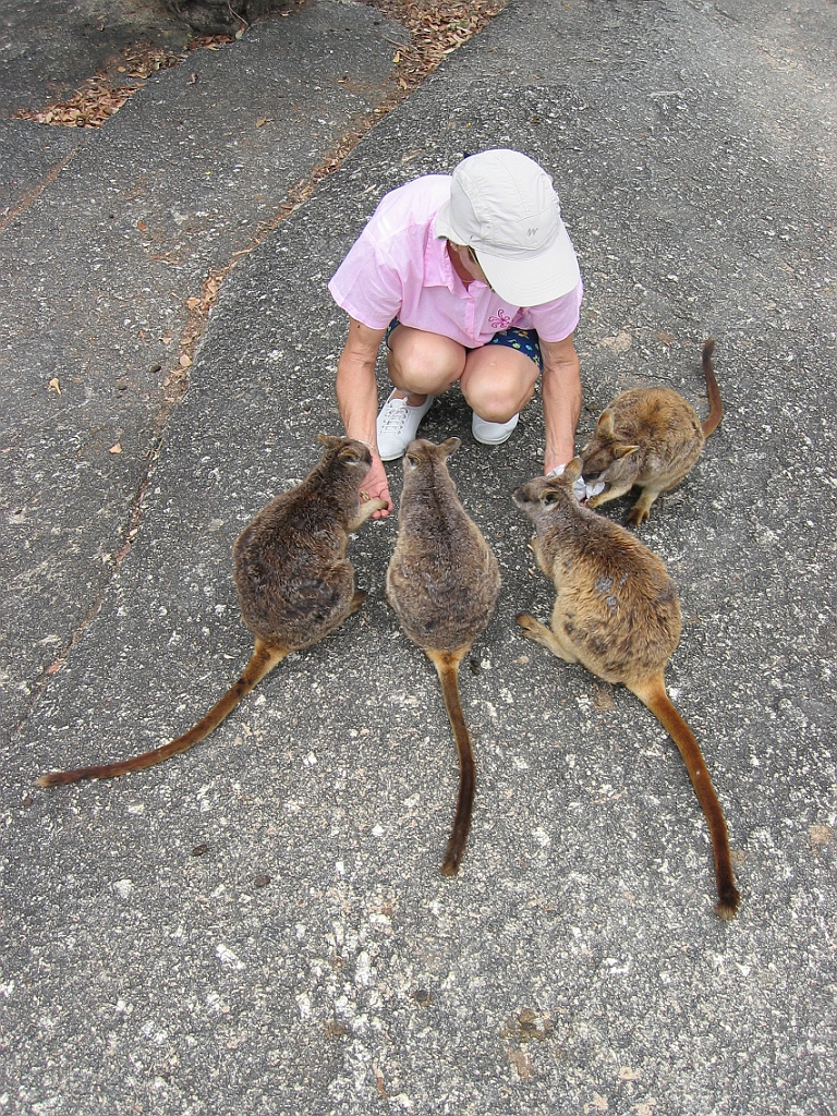 101 Granite Gorge.jpg